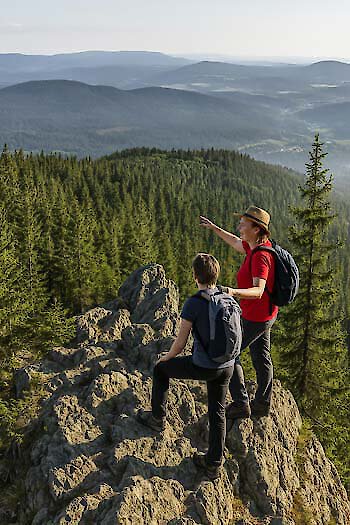 Bayerischer Wald